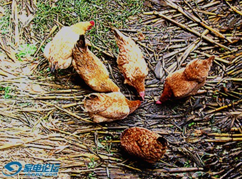 ��Ƭ 467_����a.jpg