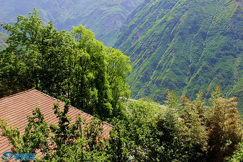 ��Ƭ 1174_����a.jpg