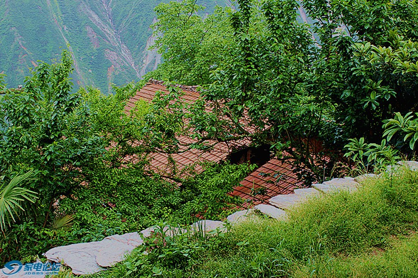 ��Ƭ 1241_����a.jpg