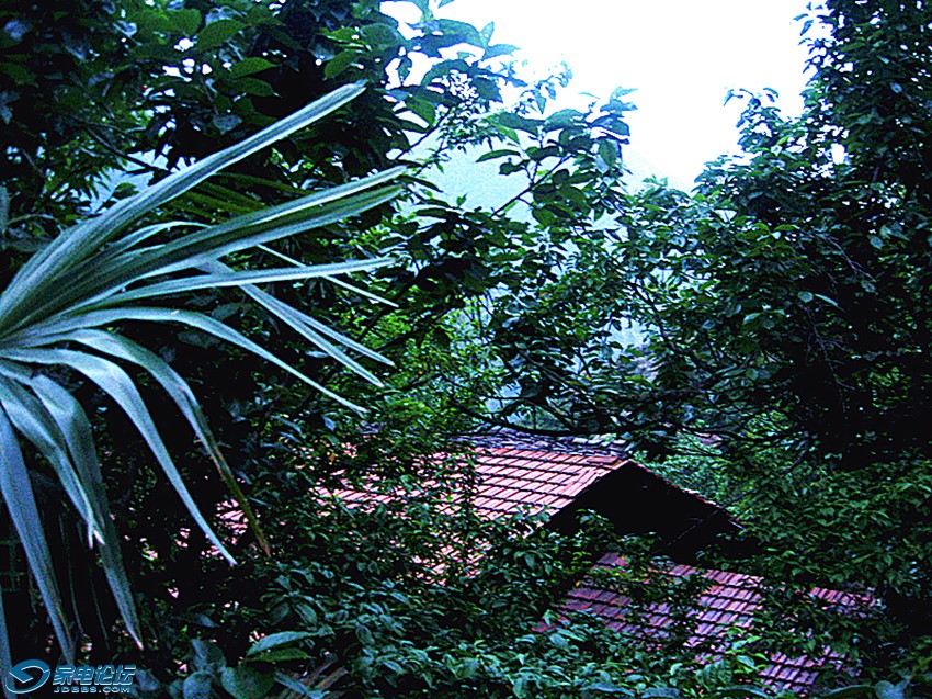 ��Ƭ 656_����a.jpg