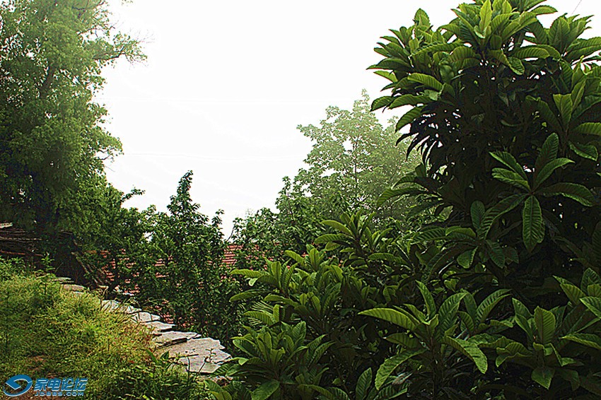 ��Ƭ 943_����a.jpg