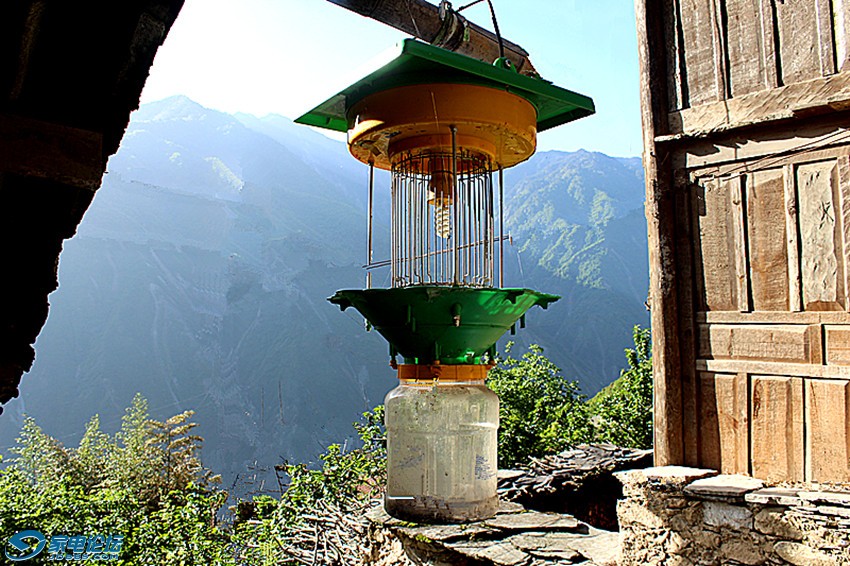 ��Ƭ 1589_����v.jpg