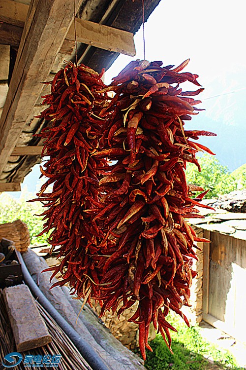 ��Ƭ 1590_����a.jpg