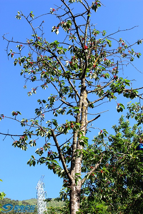 ��Ƭ 1565_����a.jpg