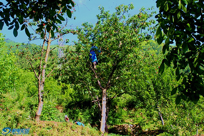 ��Ƭ 1560_����a.jpg