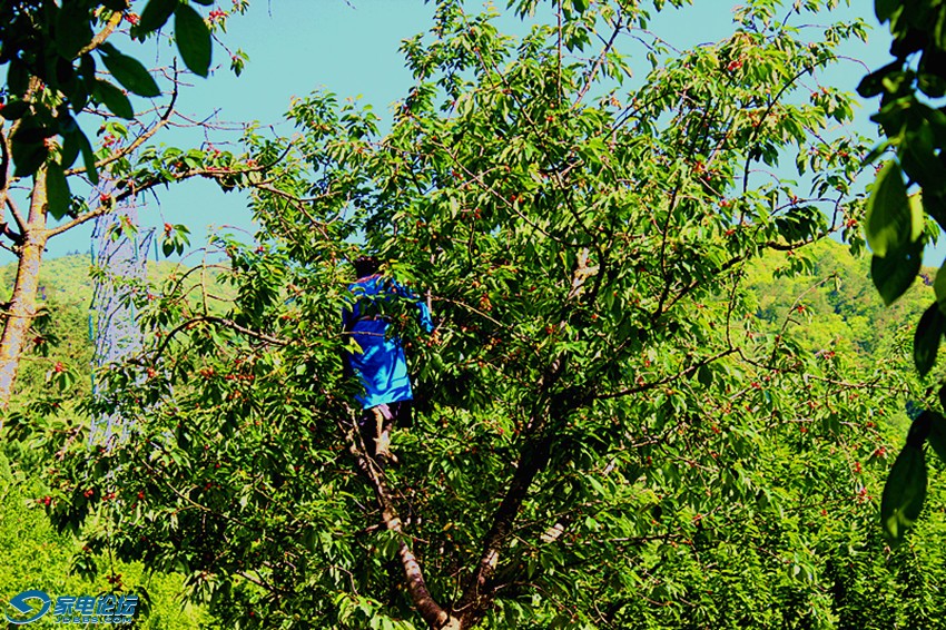 ��Ƭ 1561_����a.jpg