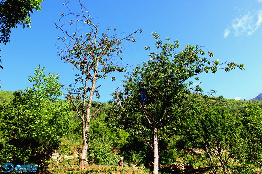 ��Ƭ 1562_����a.jpg