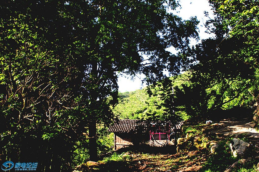 ��Ƭ 1152_����a_����v.jpg