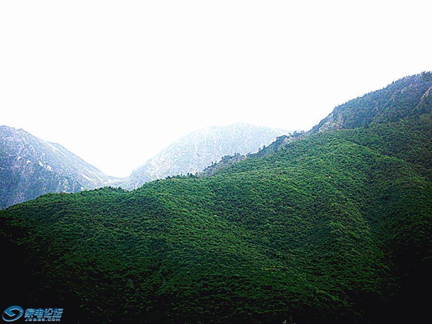 ��Ƭ 588_����a.jpg