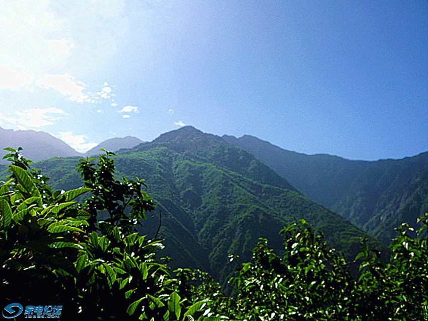 ��Ƭ 713_����a.jpg