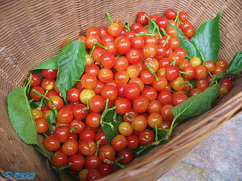 ��Ƭ 817_����a.jpg