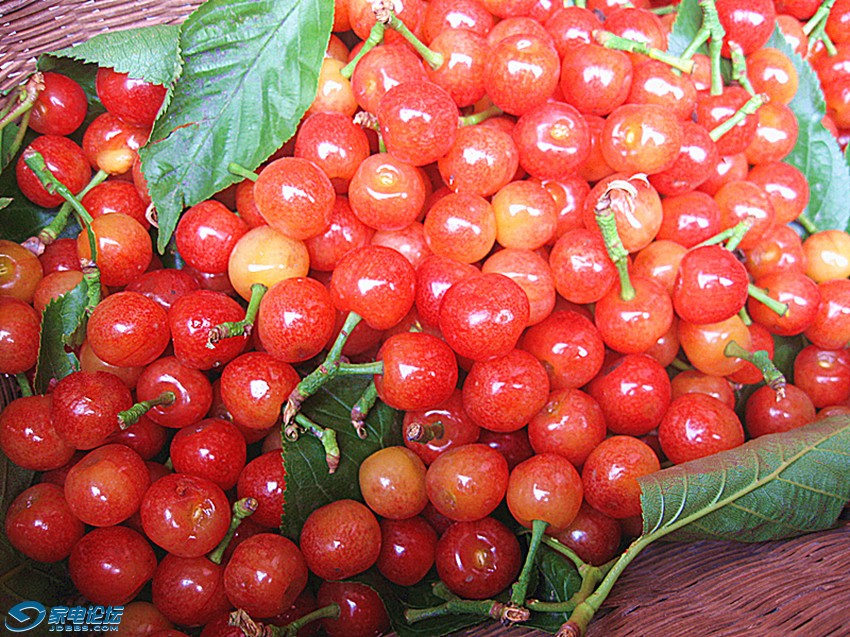 ��Ƭ 815_����a.jpg