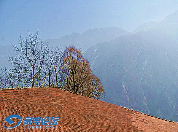 �� 13329ak_����v.jpg