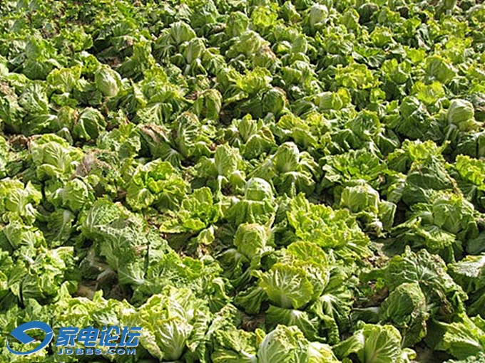 �� 13328ask_����v.jpg