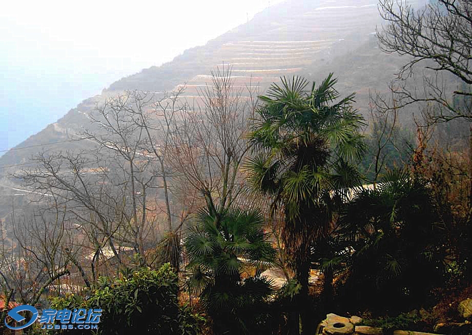 ��Ƭ 465vk_����vv.jpg