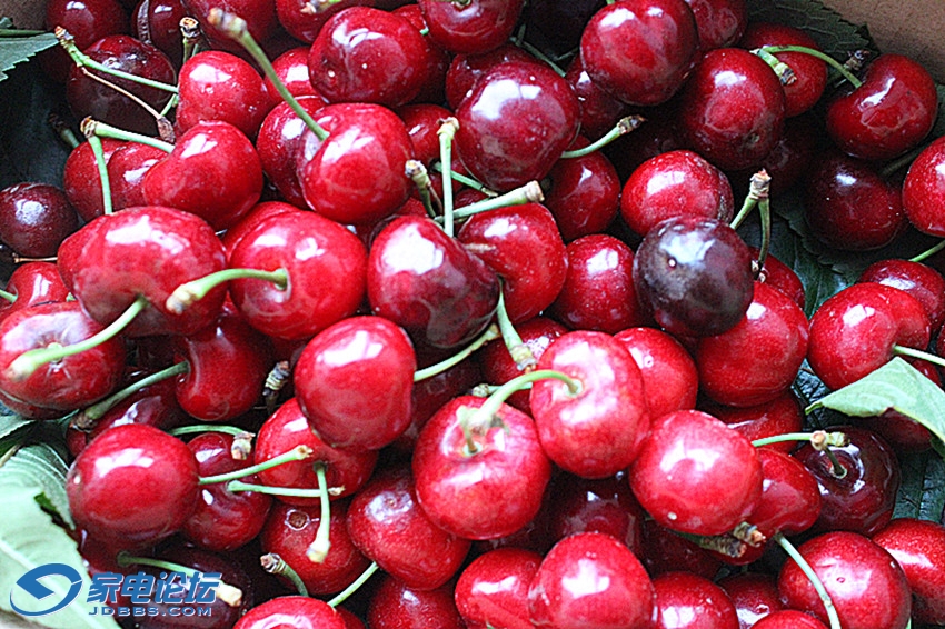 ��Ƭ 008_����v.jpg