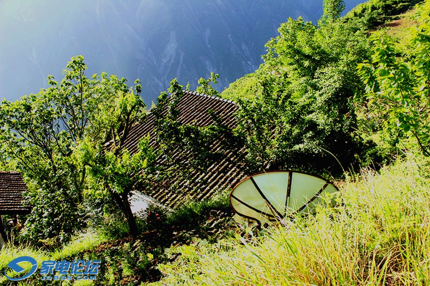 ��Ƭ 1515_����a.jpg