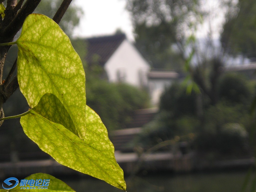 P1011025.JPG