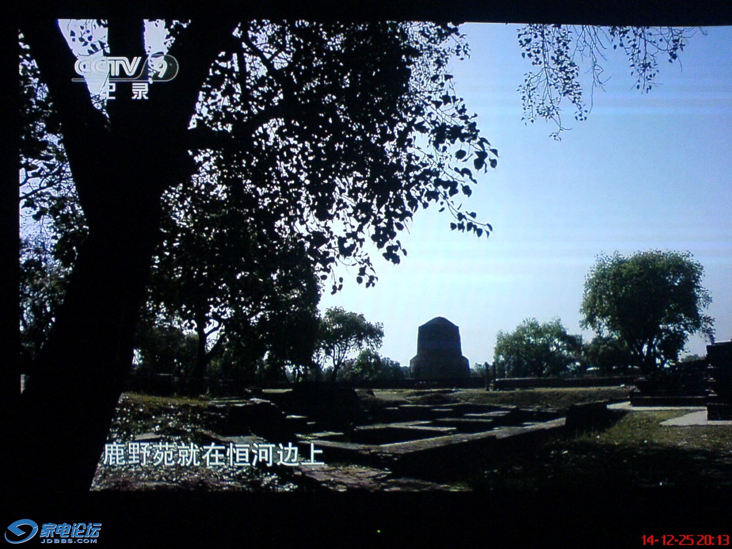 DSC01648 [HDTV (1080)].JPG