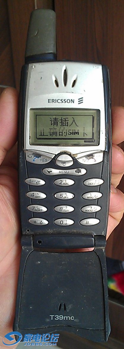 ŲϿT391.jpg