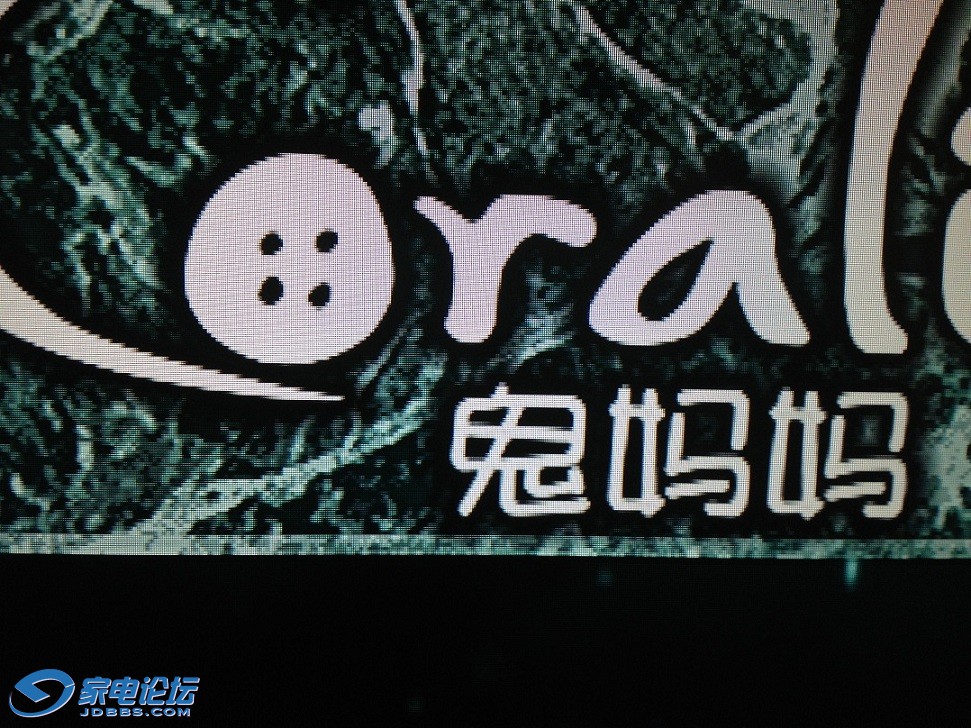 Ƶǰ4.JPG