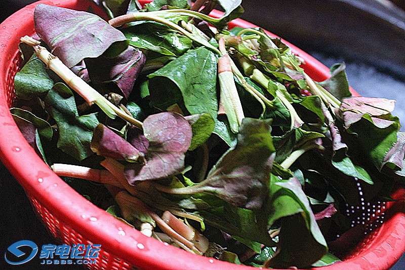 ��Ƭ 640_����_����z.jpg