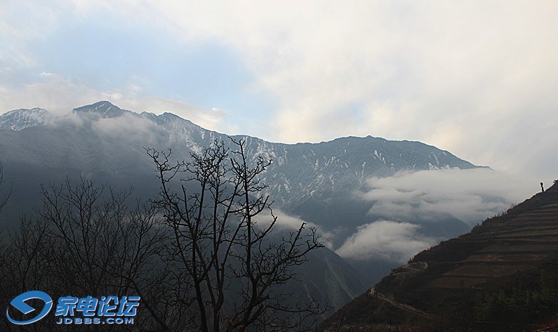 ��Ƭ 986_����.jpg