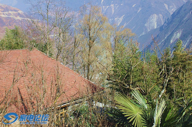 ��Ƭ 449_����_����_����.jpg