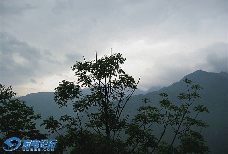 ��Ƭ 4317_����.jpg