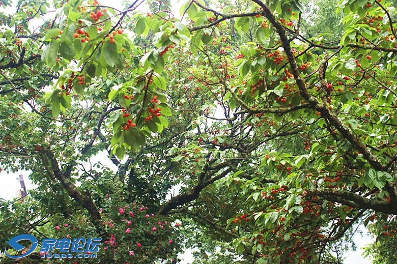 ��Ƭ 3347_����_����.jpg