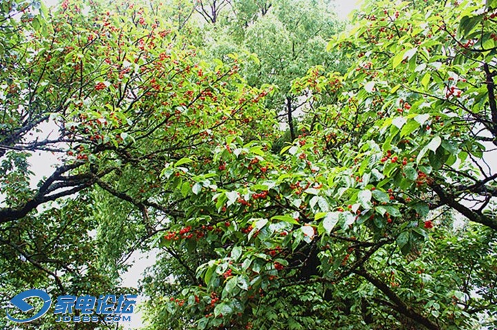 ��Ƭ 3335a_����.jpg