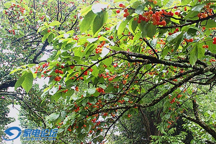 ��Ƭ 3348a_����.jpg