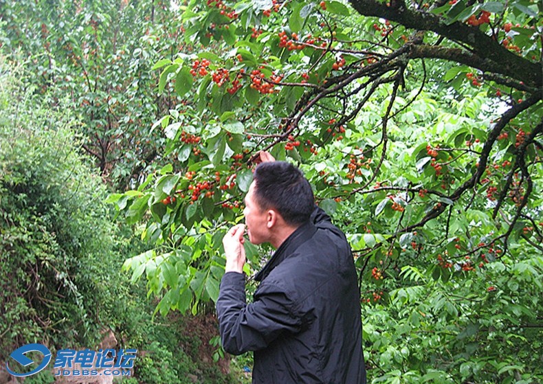 ��Ƭ 4243_����_����.jpg