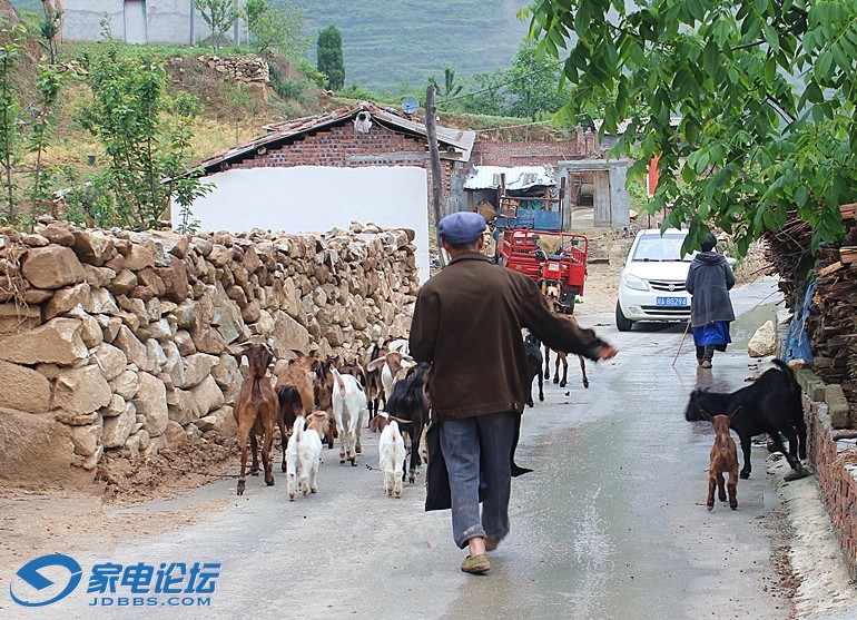 ��Ƭ 3503_����.jpg