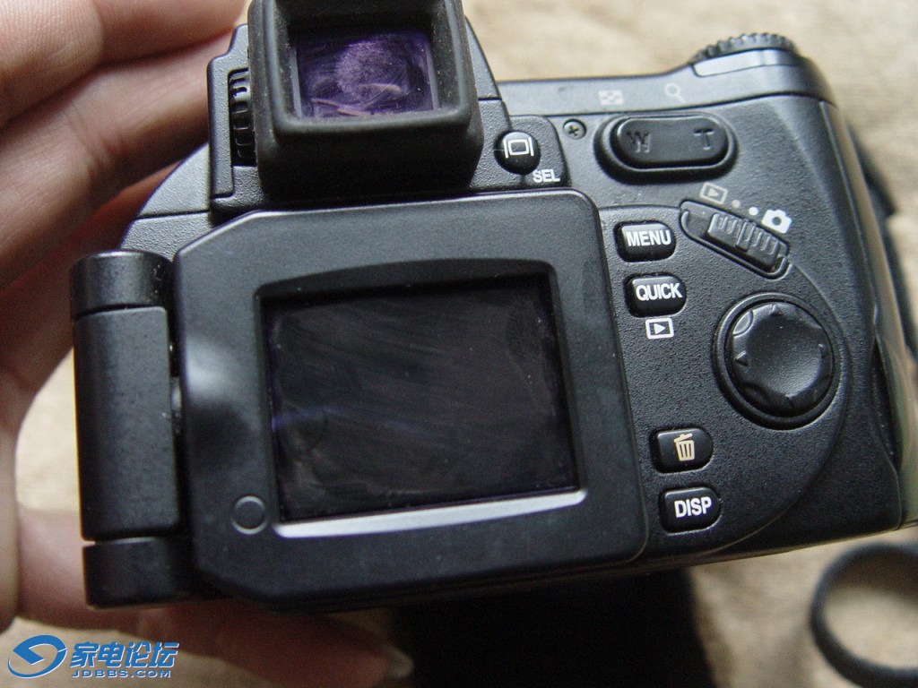 DSC07974.jpg