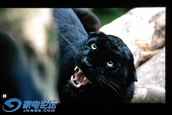 ���¶�ΪXUXIAN1414������ͼƬ