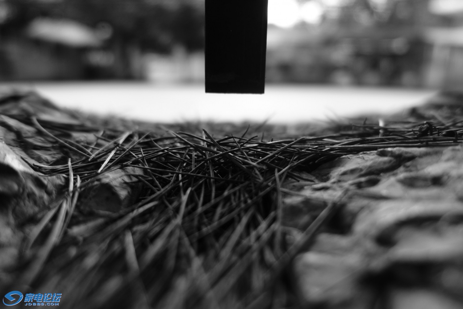 2014-07-27 034637.jpg