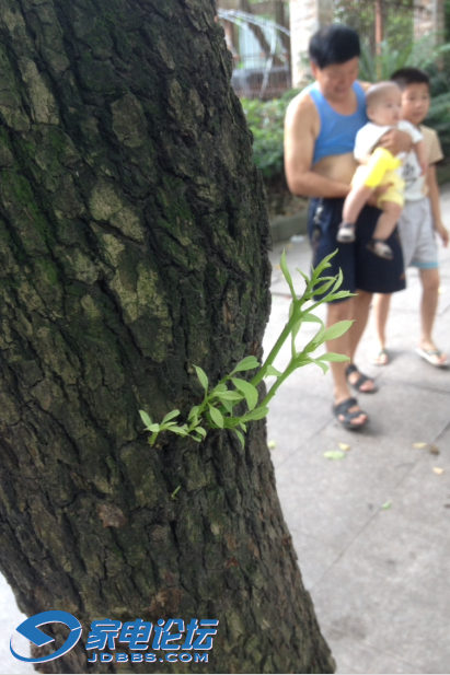 үү�����Ӻ�����