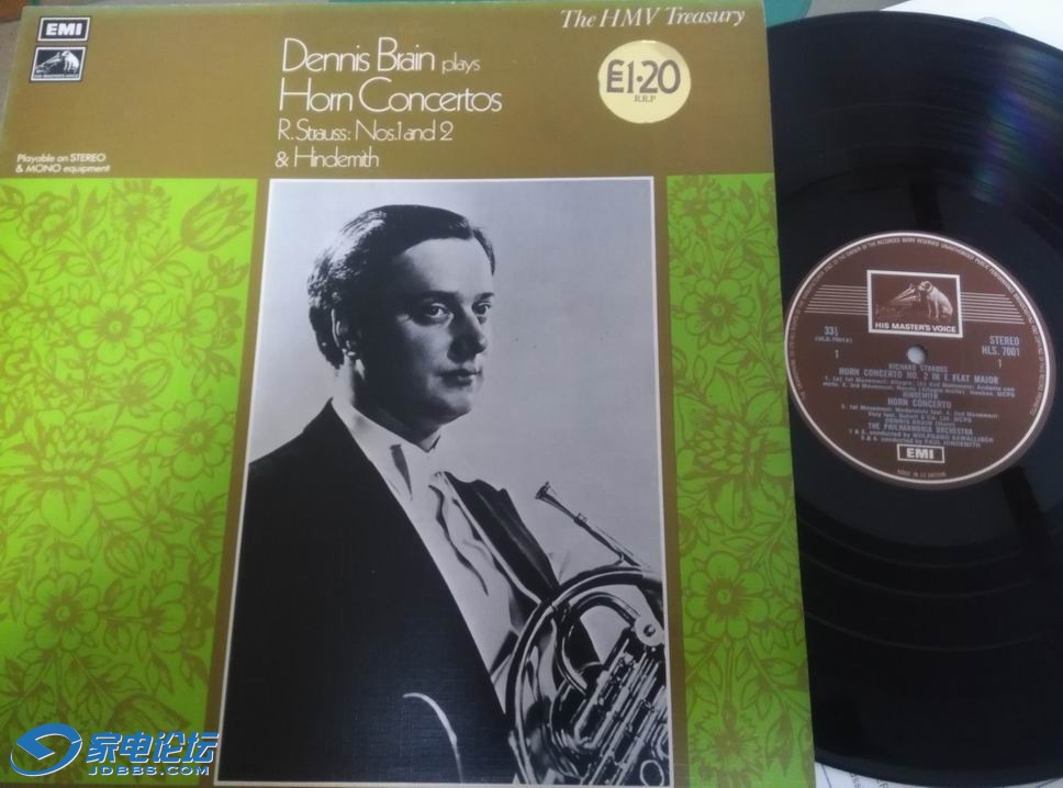 ������С strauss brain.jpg