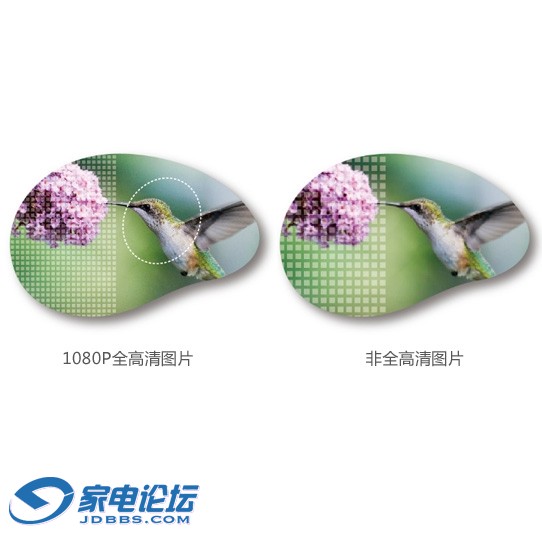 2015110637354542536f.jpg