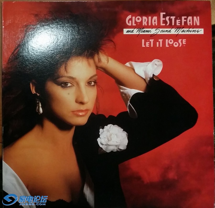 Gloria Estefan and Miami Sound Machine - Let it Loose 96khz 32bit floating.jpg