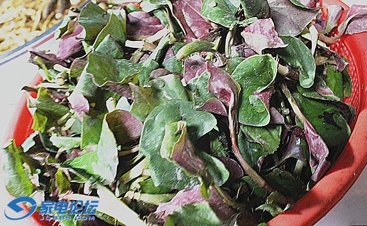 ��Ƭ 6099_����.jpg