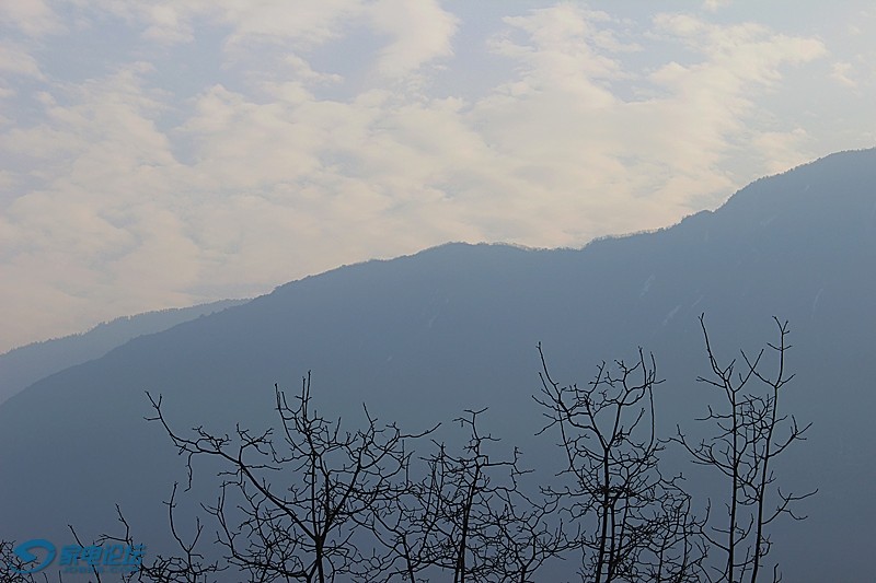 ��Ƭ 6175_����.jpg