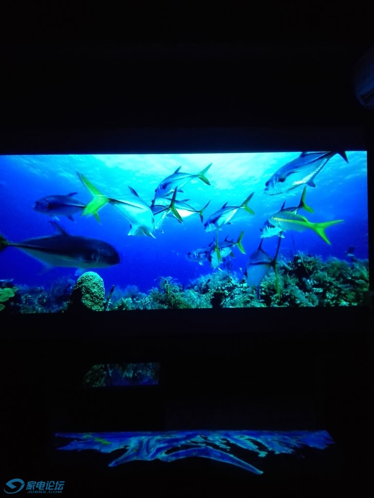 IMG_20160320_213427.jpg