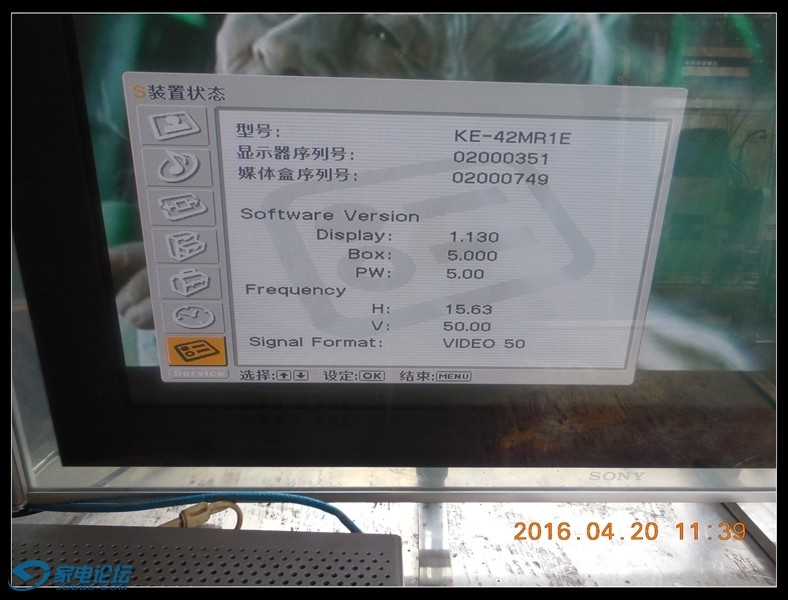 DSCN1184.JPG