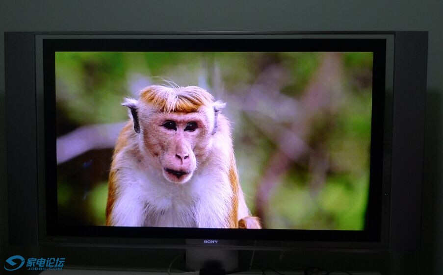 国际惯例,拍猴子._≡ 家电类≡_家用电器 (电视机专区)_家电论坛