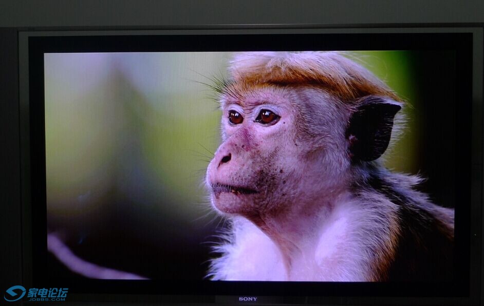 国际惯例,拍猴子._≡ 家电类≡_家用电器 (电视机专区)_家电论坛