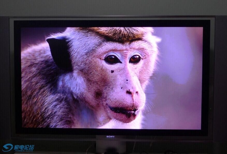 国际惯例,拍猴子._≡ 家电类≡_家用电器 (电视机专区)_家电论坛