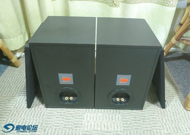 ����AUDIENCE 5����䱳.JPG