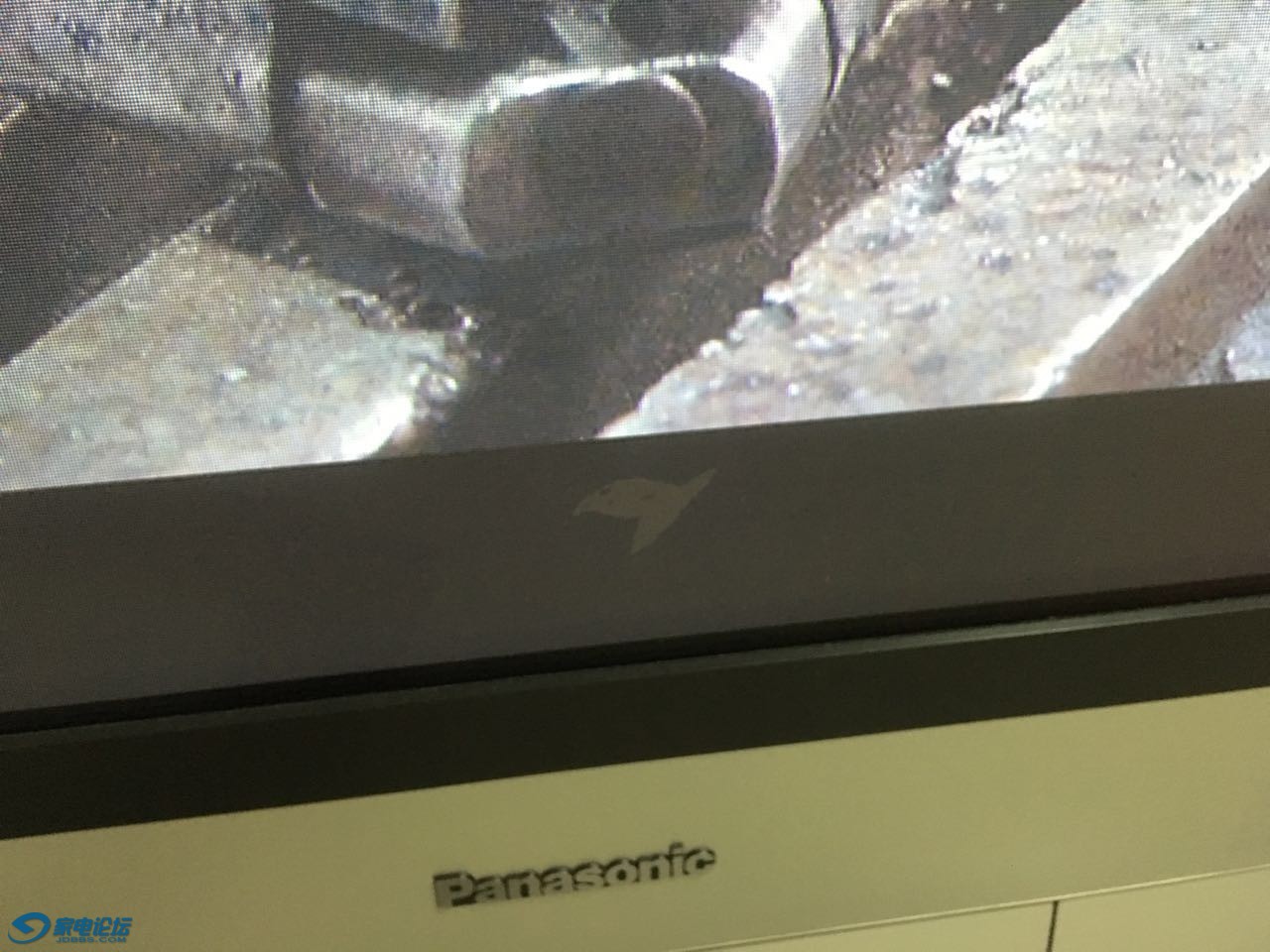 ͸����ճ�����ӡ��